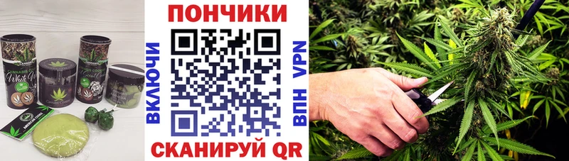 Canna-Cookies марихуана  Купить  Еманжелинск 