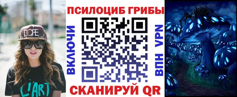Галлюциногенные грибы Cubensis  Купить где  Еманжелинск 